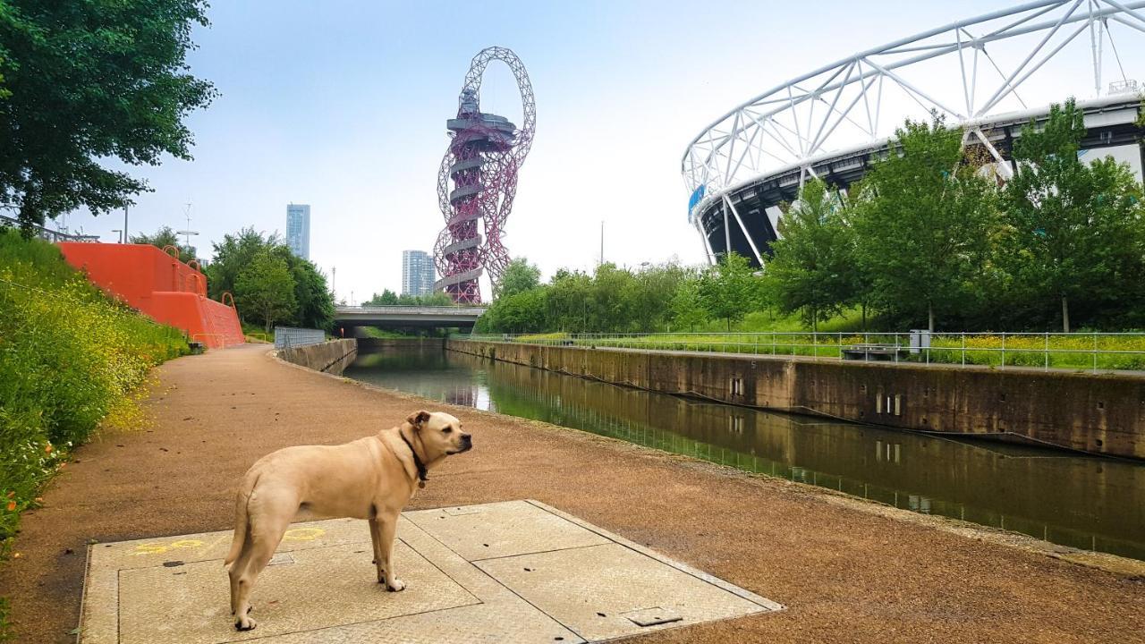 Beautiful Central Home For 6 Near Olympic Park And Abba Theatre 伦敦 外观 照片